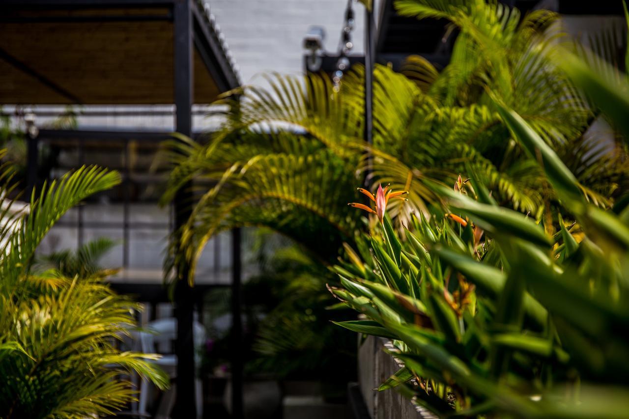 Alko Hotel Boutique Cali Exteriör bild